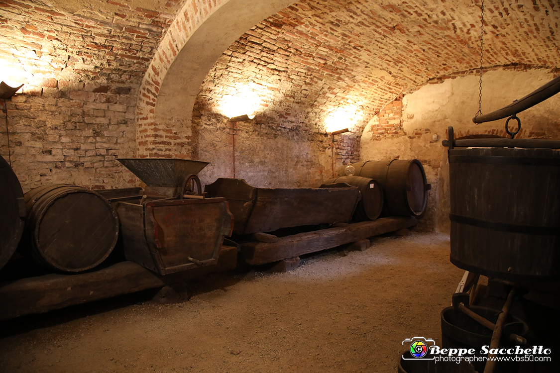 VBS_7439 - Inaugurazione Messer Tulipano 2022 Castello di Pralormo - XXII Edizione.jpg